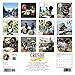 Crusoe the Celebrity Dachshund 2018 Mini Wall Calendar