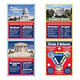 Branches of Government Poster Set (4 pc) Checks & Balances, Legislative, Executive and Judicial Posters
