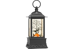 EYROSA Halloween Snow Globe Decorations, Glitter Black Cat Lantern with 6H Timer, USB/Battery Powered Lighted Décor for Home, Tabletop, Gift Box