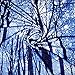 Prabahdak Forest Trees Tapestry Starry Night Tapestry Fantastic Galaxy Landscape Tapestry Wall Hanging for Dorm Living Room Bedroom