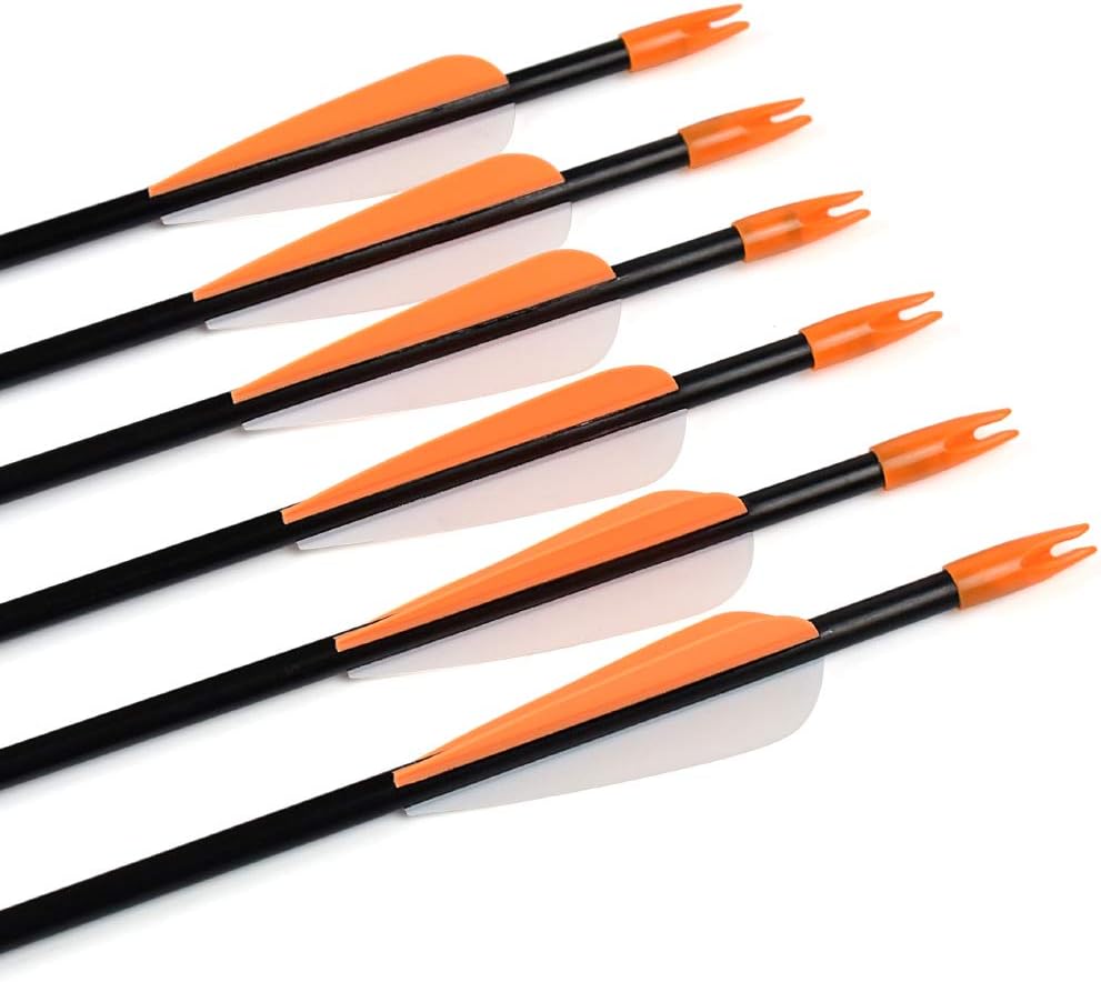 Elong Fiberglass Arrows Archery 24 Inch Target Shooting Practice Safetyglass Recurve Bows Suitable for Youth Children Woman Beginner (6 pcs) : Sports & Outdoors