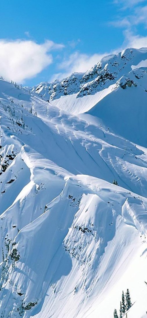 PeelitStickit, Beautiful Nature Wall Murals, ID-2870, vinyl