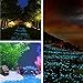 ASIBT 500 Pcs Glow in The Dark Stones,Garden Pebbles Rocks for Outdoor, Walkway, Window, Yard Grass, and Fish Tank Decoration（Blue）