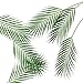 6 Pcs Artificial Tropical Palm Leaves Faux Monstera Leaves Plastic Palm Leaf Greenery for Home Luau Wedding Decor