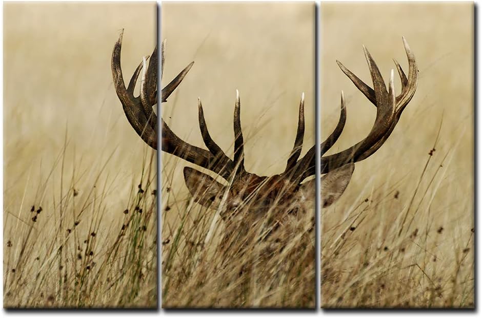 Amazon.com: 3 Panel Wall Art Deer Stag 