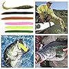 Fishing-Soft-Lures-Set-Artificial-Bait-Lure-with-15-Worms-6-Curl-Tail-Lures-1-Wacky-Rig-Tool-20-O-Rings-1-Waterproof-Fishing-Lure-Organizer-Bag-for-Saltwater-Freshwater-Bass-Trout-Barracuda-Salmon Fishing-Soft-Lures-Set-Artificial-Bait-Lure-with-15-Worms-6-Curl-Tail-Lures-1-Wacky-Rig-Tool-20-O-Rings-1-Waterproof-Fishing-Lure-Organizer-Bag-for-Saltwater-Freshwater-Bass-Trout-Barracuda-Salmon