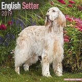 English Setter Calendar - Dog Breed Calendars - 2018 - 2019 Wall Calendars - 16 Month by Avonside by 