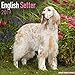 English Setter Calendar - Dog Breed Calendars - 2018 - 2019 Wall Calendars - 16 Month by Avonside by 