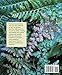 Encyclopedia of Garden Ferns