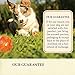 Old Mother Hubbard Classic Crunchy Natural Dog Treats, Chick'N'Apples Mini Biscuits, 5-Ounce Bag
