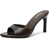 Susanny Women's Sandals Heels Mule High Heels Pointed Open Toe Sandals Sexy Slip on Heeled Summer Casual Wedding Prom Party Comfortable Dressy Shoes