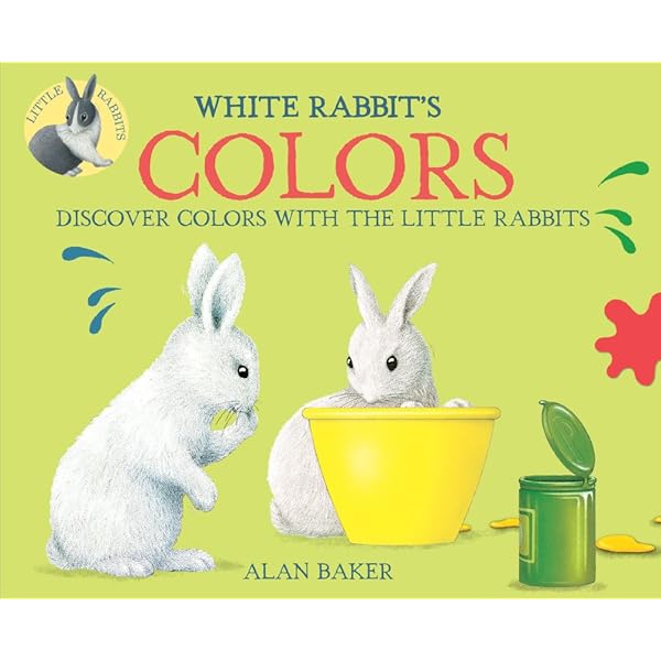 洋書 Seven Little Rabbits 洋書 Seven Little Rabbits Seven Little Bunnies: Stiegemeyer