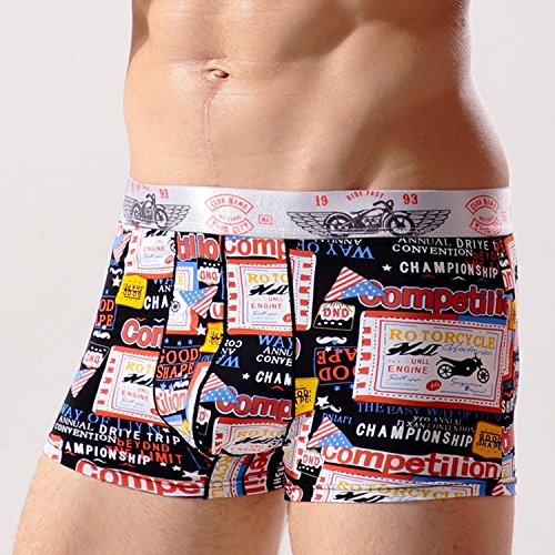 DHmart Sexy Men Underwear Boxers Shorts Slim Ice Silk Panties Man Printed U Convex Pouch Underpants Plus Size
