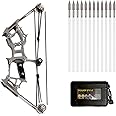 Mini Compound Bow Set Archery Recurve Bow Target Practice Stainless Steel Material Gift Box with 12Pcs Mini Arrows