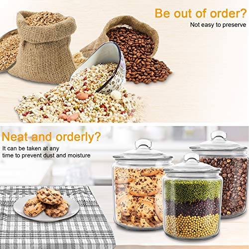 MASTERTOP Glass Jars with Lids,1 Gallon Airtight Big Glass Cookie Jar