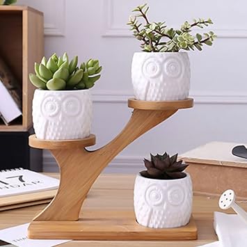 Amazon Sailout天然竹製フラワースタンドガーデニング フラワー 園芸 ラック 棚 鉢植え スタンド 盆栽棚 植木鉢 多肉植物 サボテン鉢 花鉢 容器 ミ二植木鉢 軽量 頑丈 屋外 室内 3個陶器ミニ植木鉢付き フラワースタンド 園芸ラック