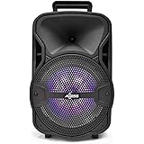qfx 6.5 rechargeable party speaker