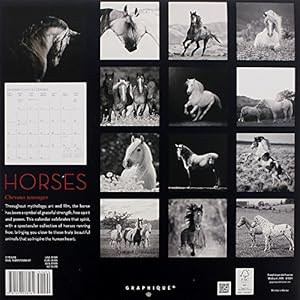 Graphique Traditional; Hangable Office Wall Calendar (CY43518)