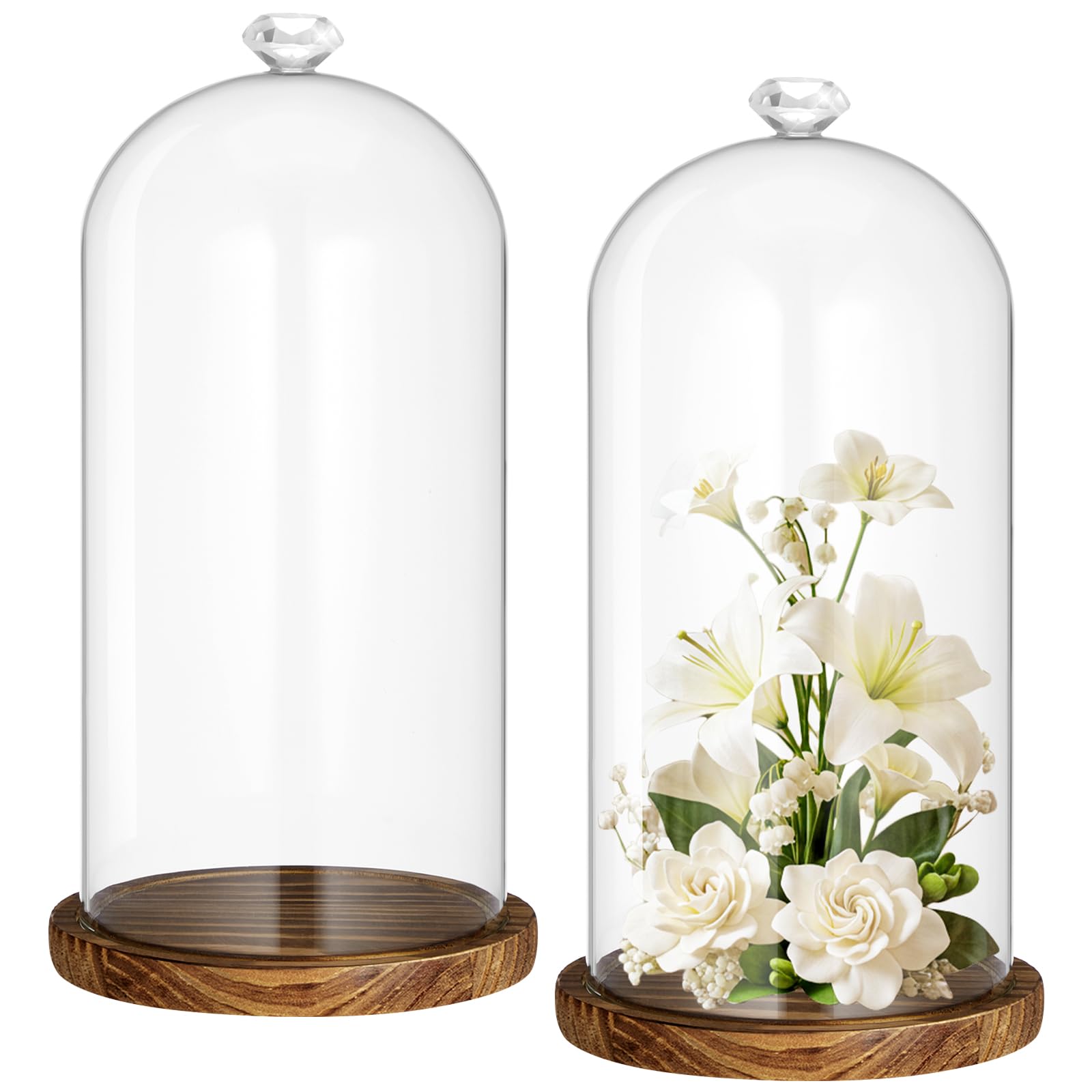 Photo 1 of Suclain 2 Pcs Glass Cloche Display Dome with Diamond Handle 10" Clear Decorative Glass Bell Jar with Dark Brown Wooden Base Tabletop Display Case for Plants Toy Collectibles Medal Home Office