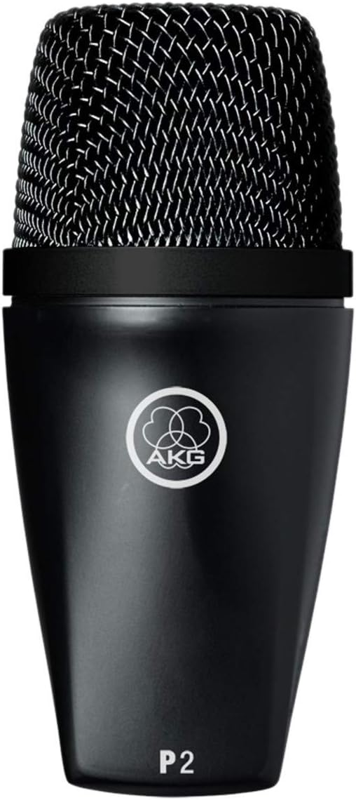 AKG Pro Audio P2 High-Performance Dynamic Bass Microphone: Musical Instruments