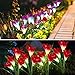 Loren Solar Lights Outdoor - New Upgraded Solar Garden Lights, Multi-Color Changing Lily Solar Flower Lights for Patio,Yard Decoration, Bigger Flower and Wider Solar Panel (2Pack)