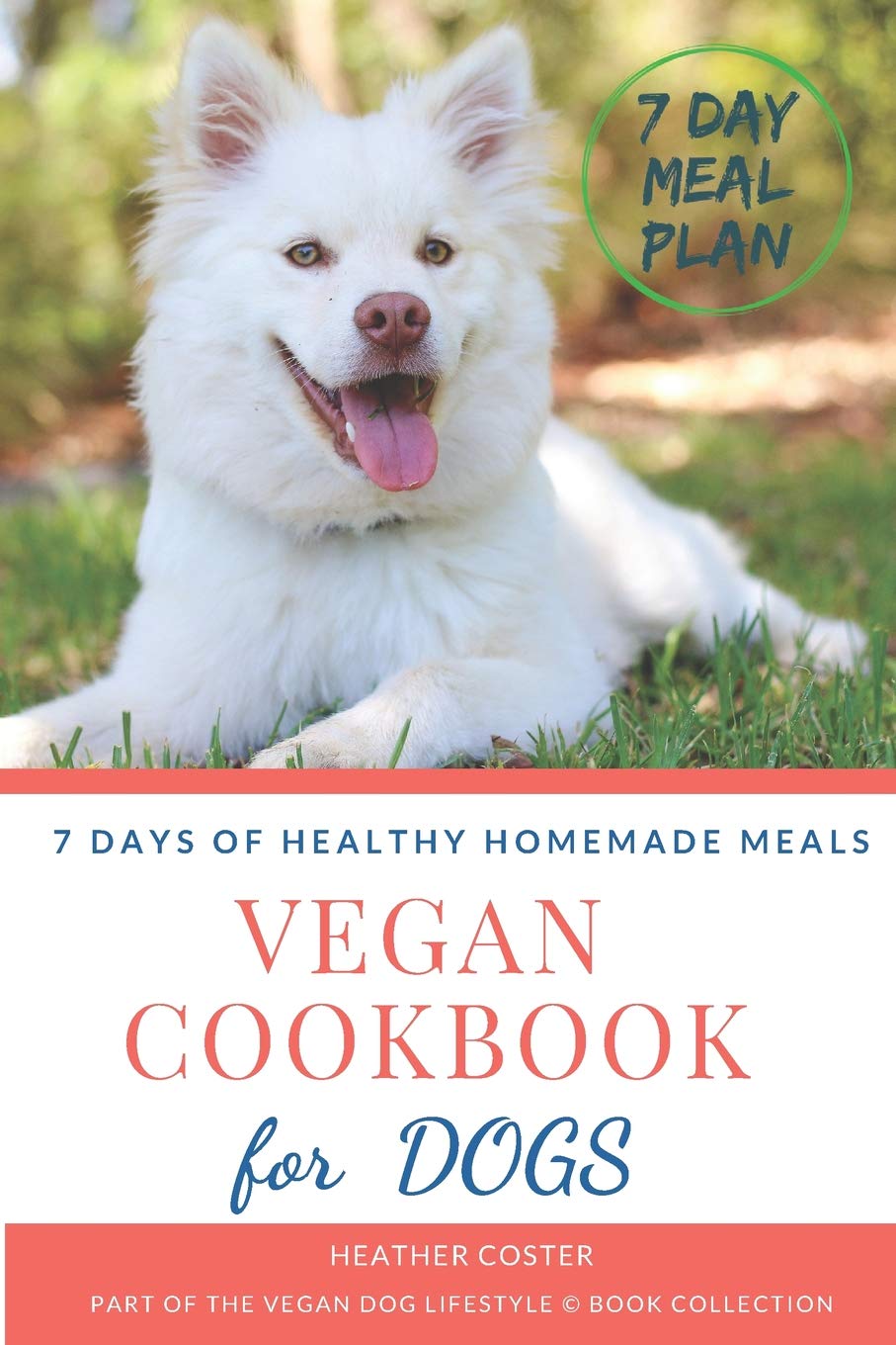 vegan meals for dogs