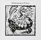 WIDESPREAD PANIC                                  