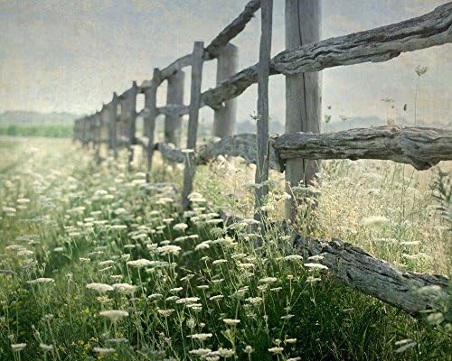 Country Photography, Rustic Living Room Decor, Farmhouse Wall Art, 8x8 to 40x60 inches, Photographic or Watercolor Print