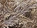 Large 100 Gram Skein Camel & Brown Eyelash Yarn Fun Fur 164 Yards