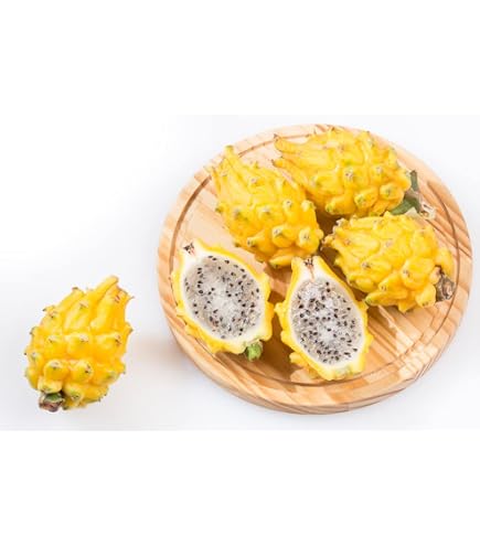 20 *SEEDS Yellow Dragon Fruit   Pitaya / Pitahaya / Strawberry Pear Hylocereus Megalanthus Cactus White Flower Seeds B935c794 Ce28 468a 966e 5f56e0c2e98f.44a54e8ceeb19b8dd5af447605899409