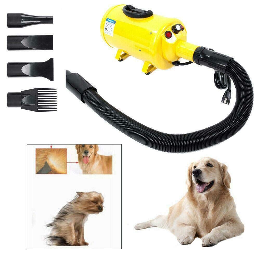 commercial dog dryer