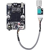 Bluetooth Amplifier Board 100W, with IPEX Antenna Connector (DC 9-24V) | TPA3116 Mono Audio Amp , with TWS Pairing, AUX/USB/Bluetooth Input, Wired Volume Control for Speaker DIY, Car &amp; Home Audio