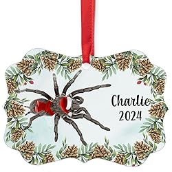 Brazilian Black Tarantula Christmas Ornament 2024