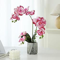 Wenhuidr Red Pink Fake Orchids Flowers in Pot