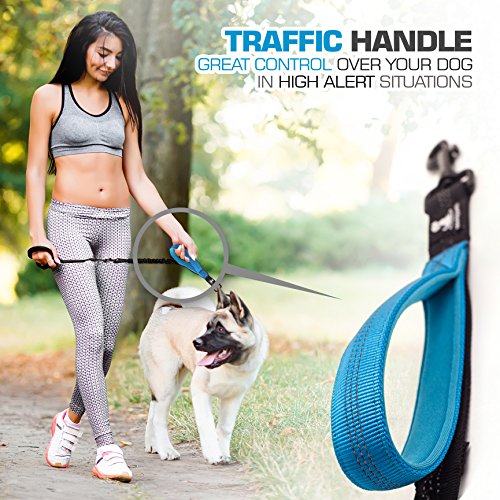 3 in 1 Short Dog Leash - Shock-Absorbing Bungee with Padded Handle that Can Be Used as Elastic Attachment for Your Regular Leash, Control Handle, or Traffic Leash – Suitable for Medium and Large Dogs - Thumbnail 4