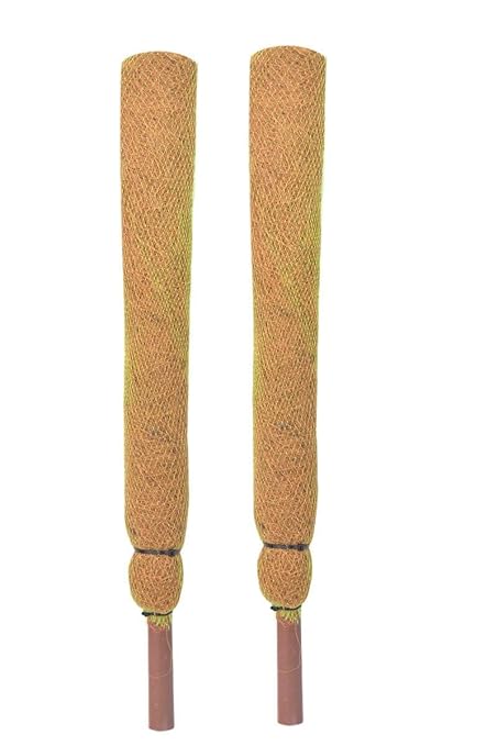 PANKAJ NURSERY Coir Stick for Indoor, House and Plant Creepers Support 2 ft, Pack of 2
