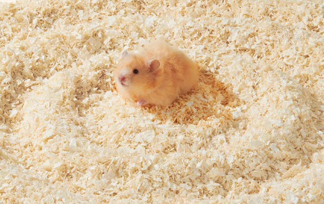 gutiest Sawdust Hamsters, Small Animal Sawdust, Rabbit Wood Shavings, Rabbit Bedding Sawdust Rabbit Pet Wood Shavings Safe Hamster Cage Bedding For Hamster Chinchillas
