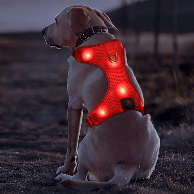 Ultra Red Dog Harness Small Size USB Rechargeable LED Dog Harnesses Light Up Harness Anti Pull
