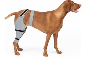 Joypig Dog Rear Leg Sleeve to Prevent Licking - Single Recovery Sleeve for Back Hind Leg, Wound Recovery After Surgery for Torn ACL/CCL TPLO Surgery