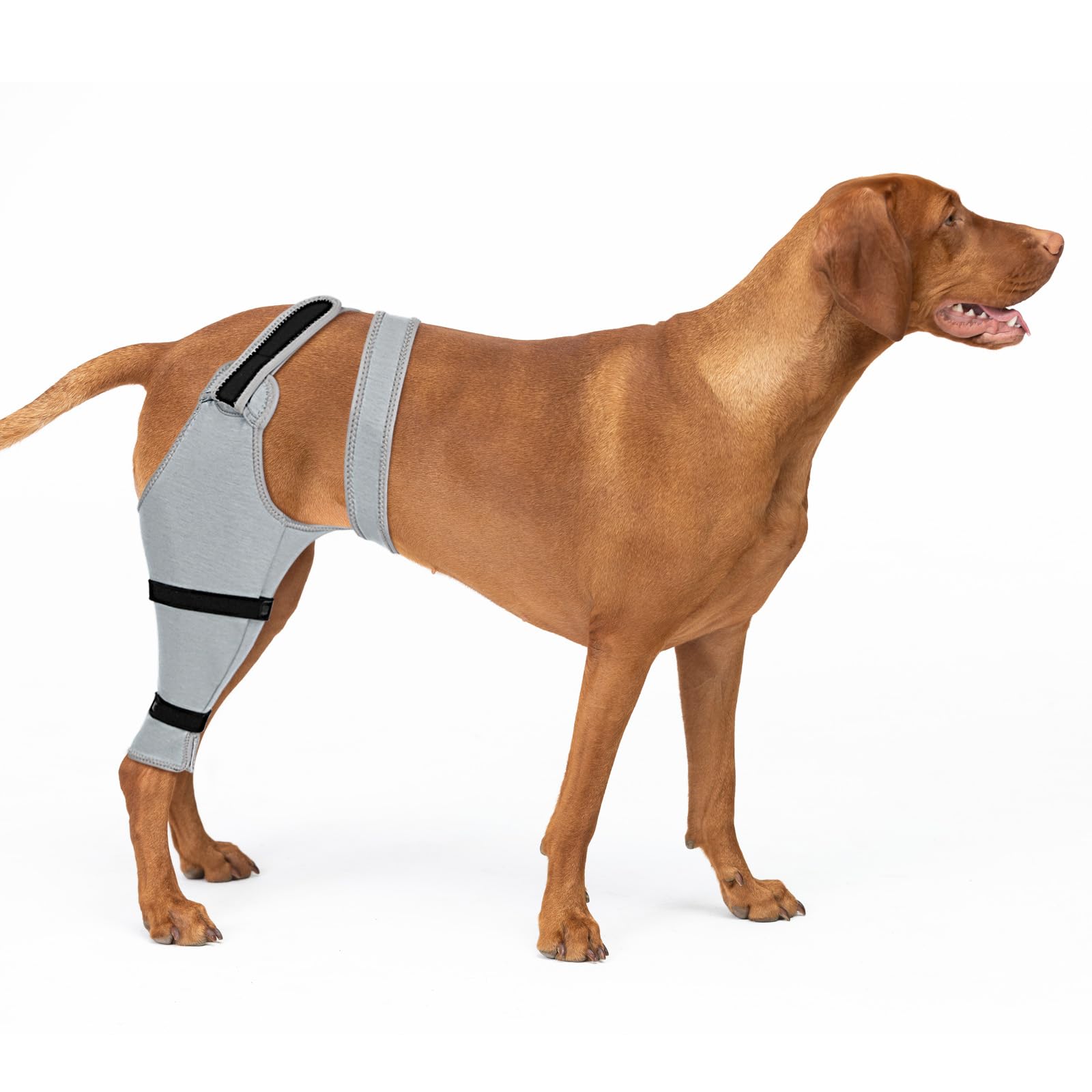 Photo 1 of Joypig Dog Rear Leg Sleeve to Prevent Licking - Single Recovery Sleeve for Back Hind Leg, Wound Recovery After Surgery for Torn ACL/CCL TPLO Surgery
