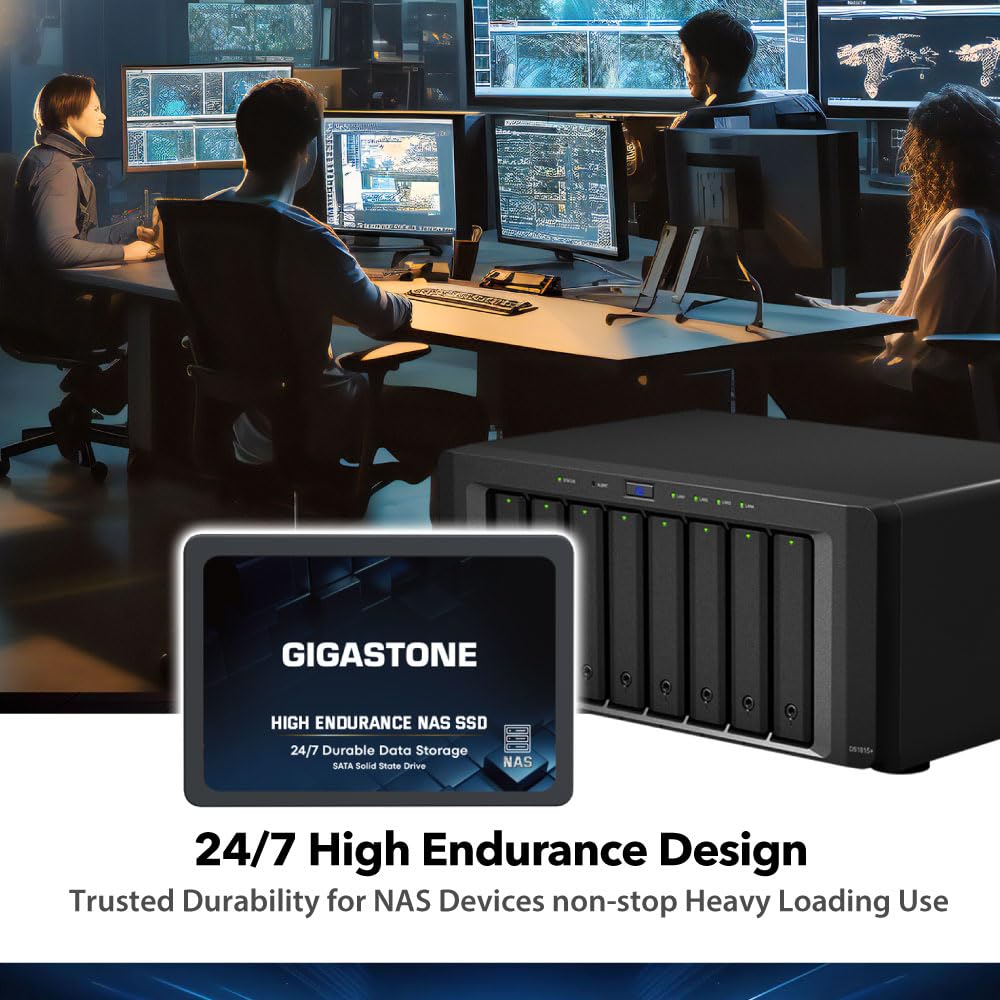 Gigastone 1TB NAS SSD Drive (2-Pack) 24/7 Durable TLC High Endurance RAID Data Storage Network Attached Storage 2.5