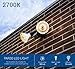 Hyperikon LED PAR30 Dimmable Bulb, 12W (75W Equivalent), 2700K (Warm White), CRI 90+, Indoor/Outdoor Spot Light, Medium Base (E26) - Kitchen, Bedroom, Recessed Lighting, Flood Light (6 Pack)