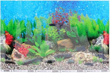 Amazon Com Popetpop Aquarium Background Fish Tank Decorations