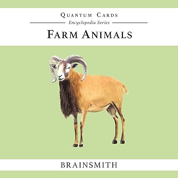 Brainsmith Quantum Flash Cards, Farm Animals - Educational Flashcard Set for Toddlers and Kids (8 months to 8 years) for Brain Development