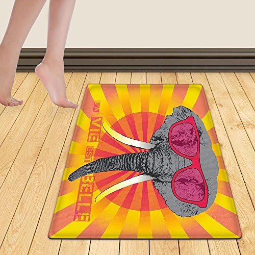 WelFriday custom door mats 146554601 vector animal portrait elephant in pink glasses pink life la vie est belle,W18 x L29 inch
