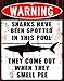 HDC International Warning Sharks Have Been Spotted in This Pool Novelty Metal Sign 10x13 Inches