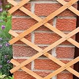 Kanta 2x Large Expanding Wooden Trellis 6Ft x 2Ft Garden Fence view 2