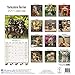Yorkie Calendar 2017 - Yorkshire Terrier Calendar - Dog Breed Calendars - 2016 - 2017 wall calendars - 16 Month by Avonside