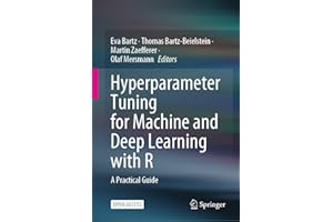 Hyperparameter Tuning for Machine and Deep Learning with R: A Practical Guide