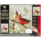 Plaid Creates Paint by Number Kit (16 by 20-Inch), 21737 Cardinals & Cherry Blossoms